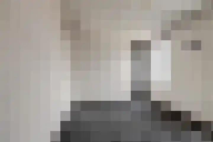 Molenring 37 Waddinxveen thumbnail 23
