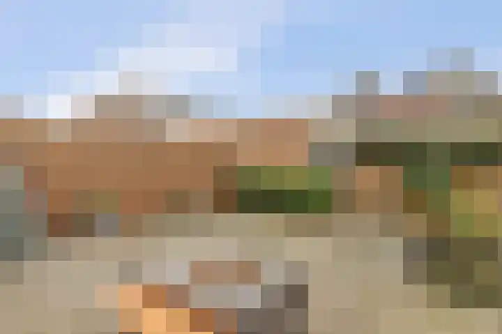Molenring 37 Waddinxveen thumbnail 31