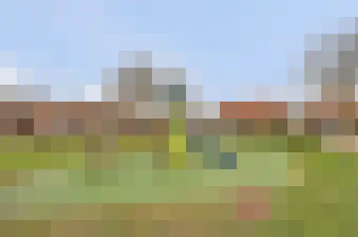 Molenring 37 Waddinxveen thumbnail 38
