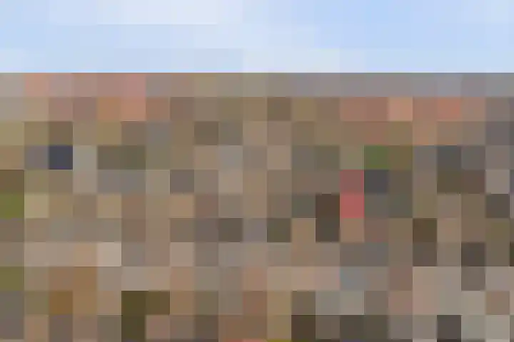 Molenring 37 Waddinxveen thumbnail 39