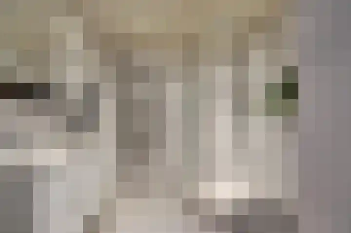 Molenring 37 Waddinxveen thumbnail 4