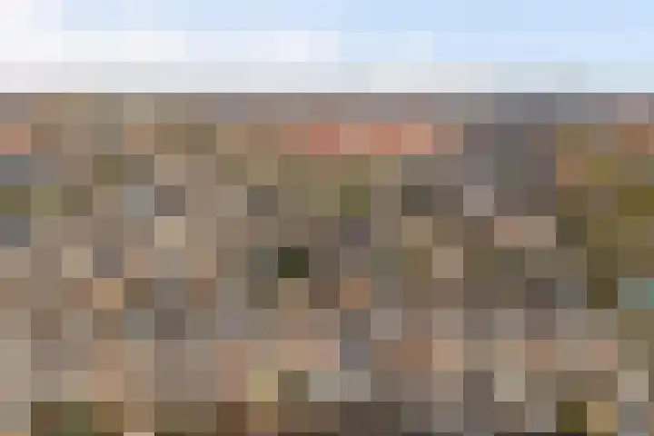 Molenring 37 Waddinxveen thumbnail 40