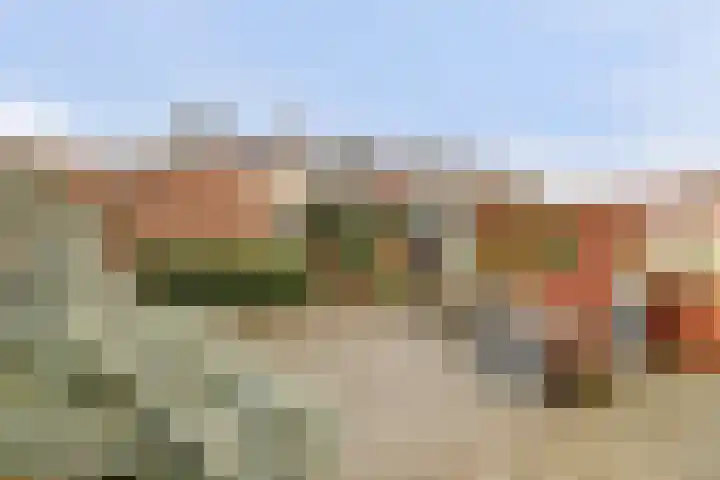 Molenring 37 Waddinxveen thumbnail 5