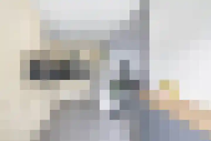 Molenring 47 Waddinxveen thumbnail 12
