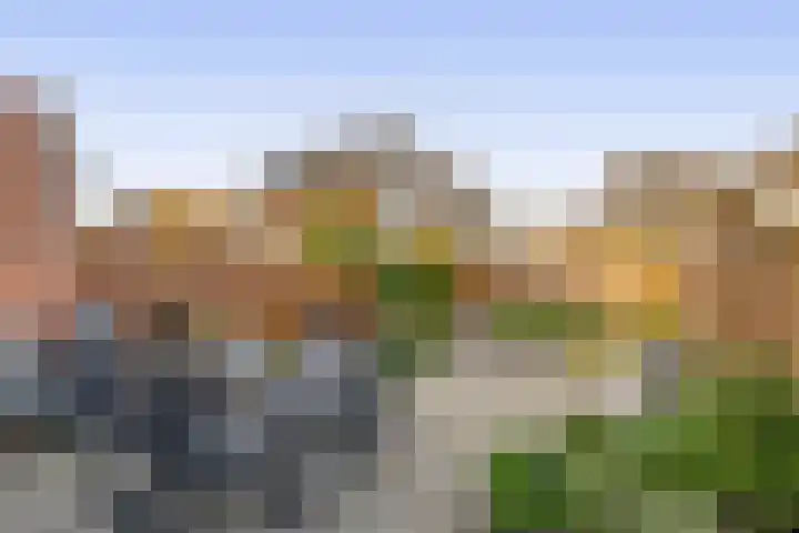 Molenring 47 Waddinxveen thumbnail 15