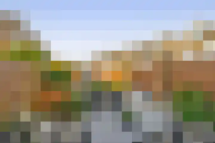 Molenring 47 Waddinxveen thumbnail 16