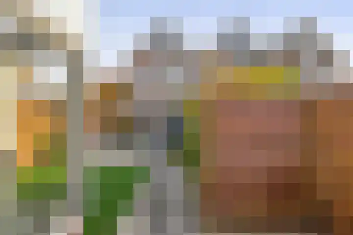 Molenring 47 Waddinxveen thumbnail 18