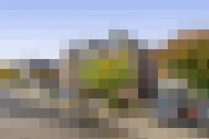 Molenring 47 Waddinxveen thumbnail 5