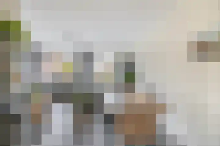 Molenring 47 Waddinxveen thumbnail 9