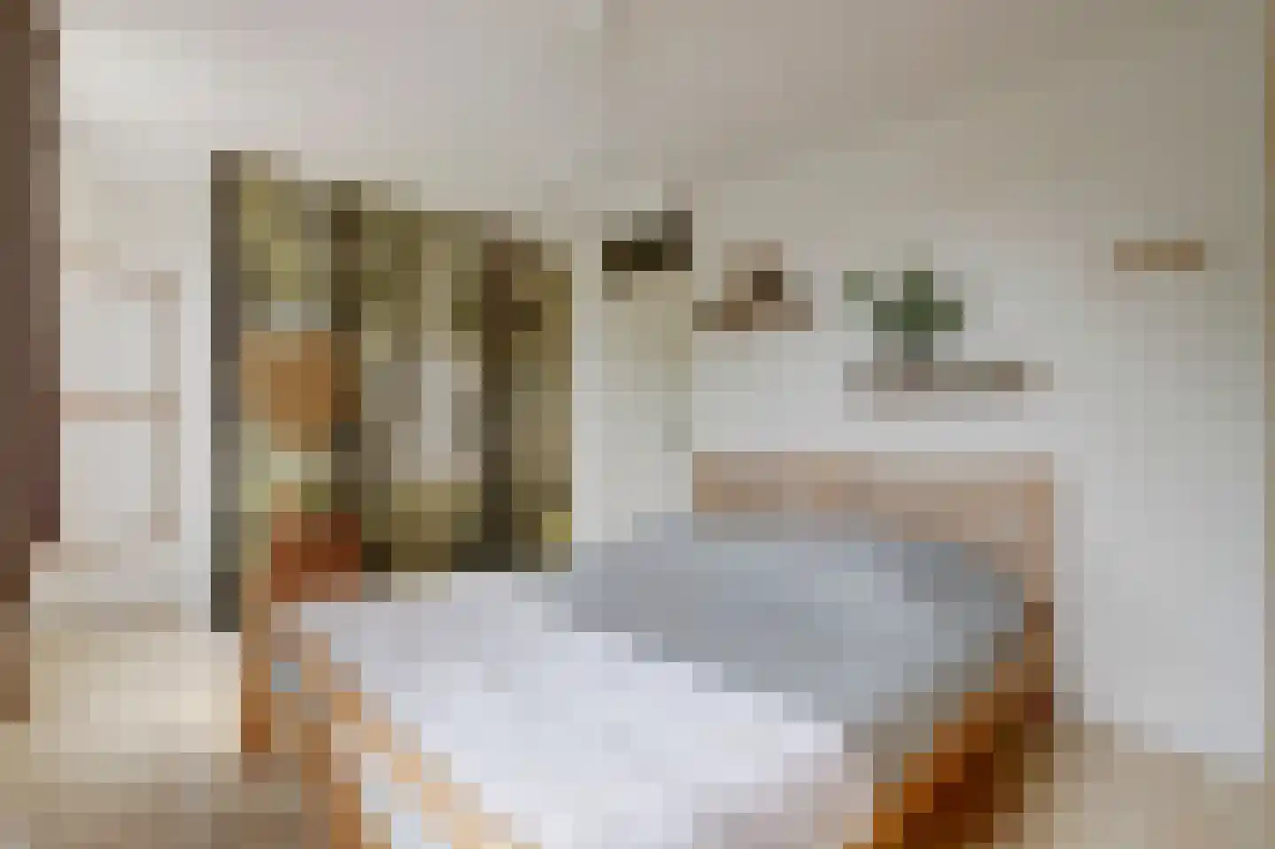 Molenring 5 Waddinxveen thumbnail 19