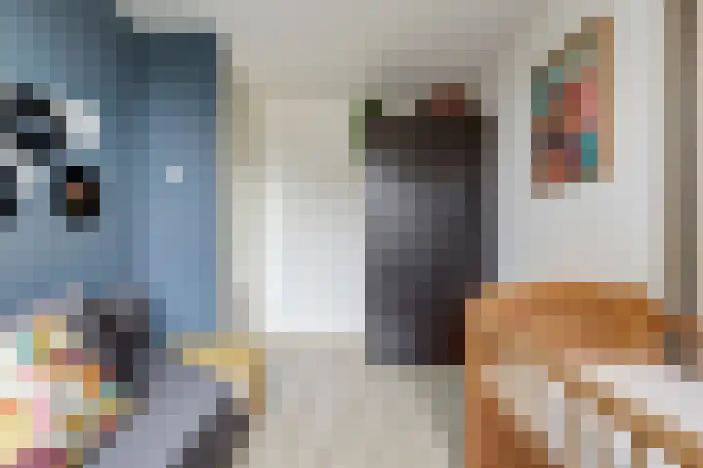 Molenring 5 Waddinxveen thumbnail 21