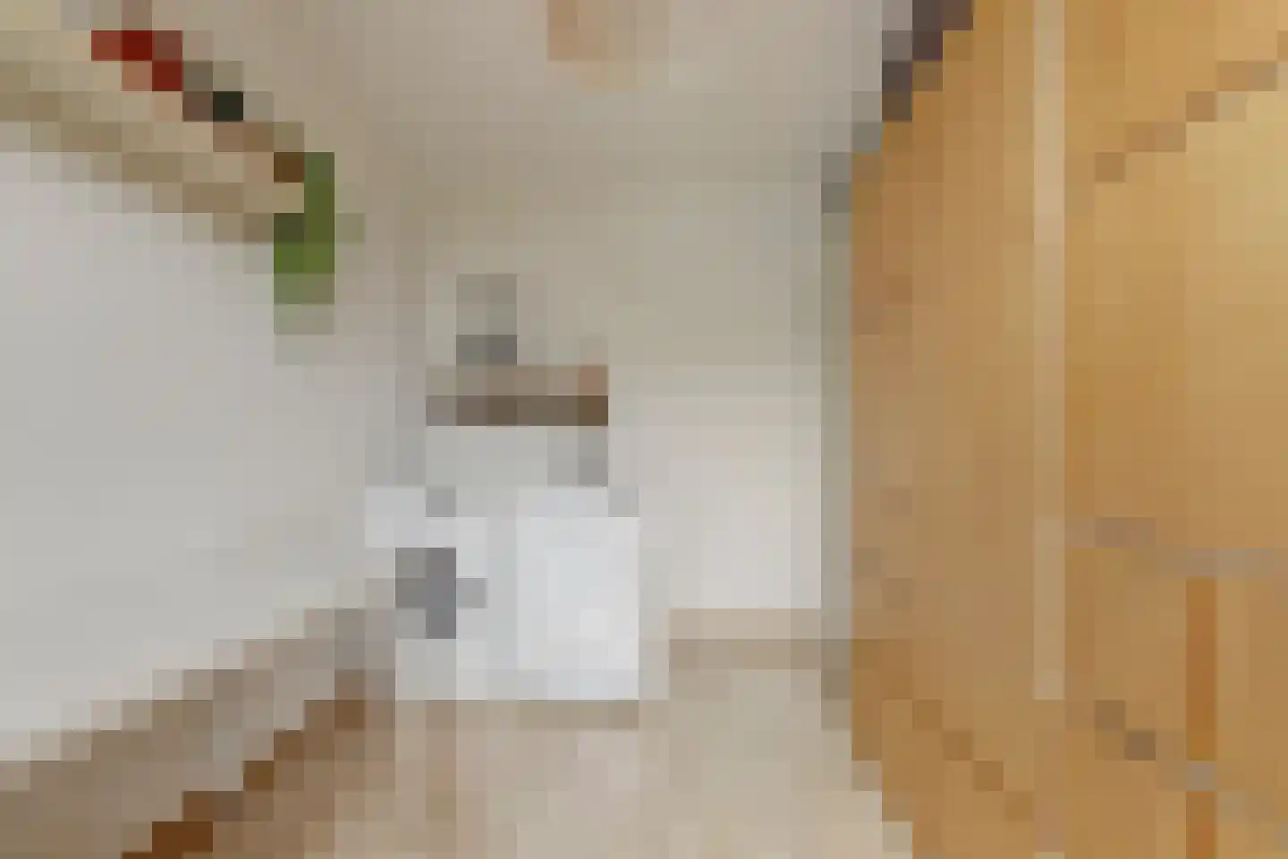 Molenring 5 Waddinxveen thumbnail 23