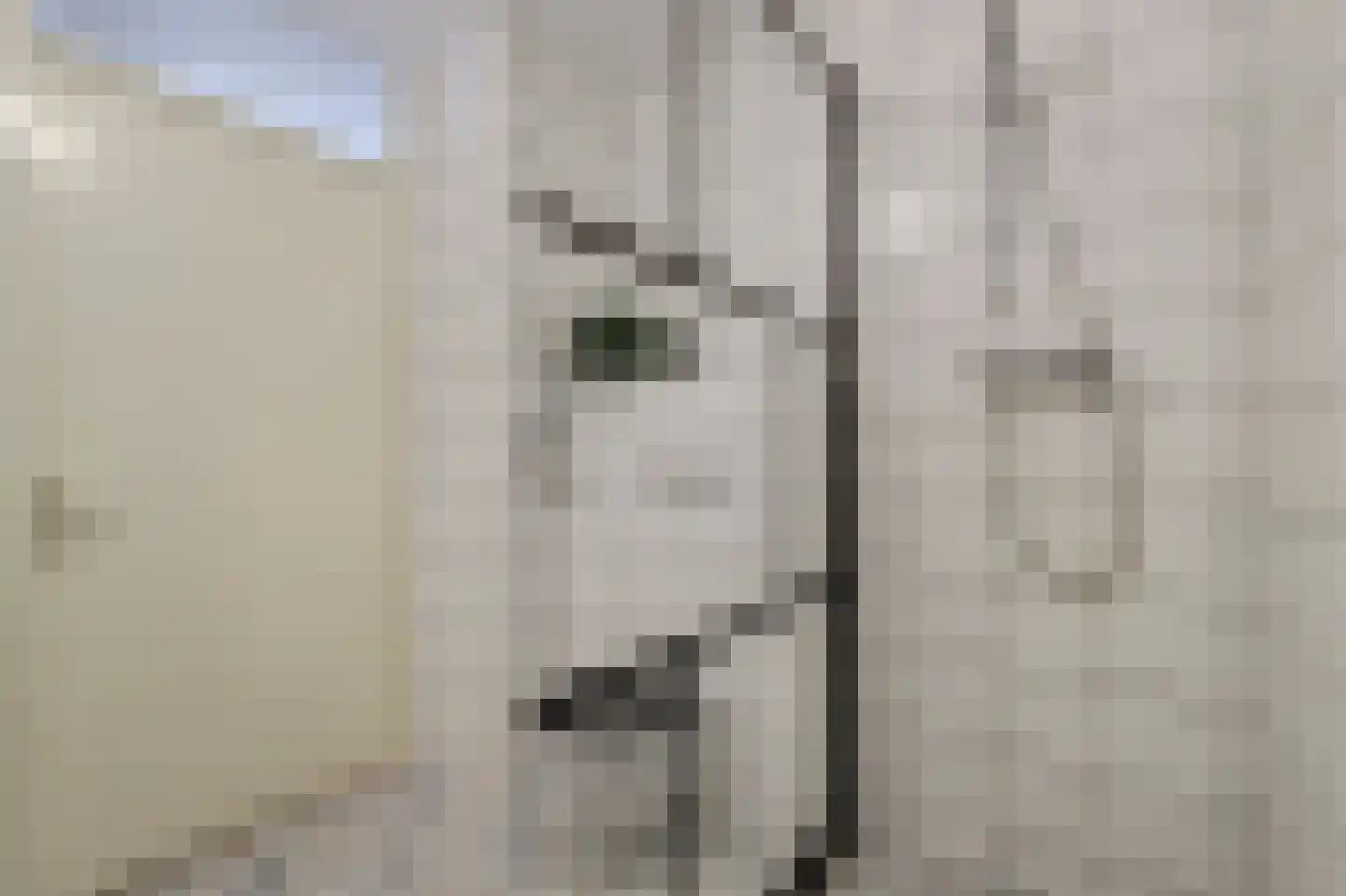 Molenring 5 Waddinxveen thumbnail 25