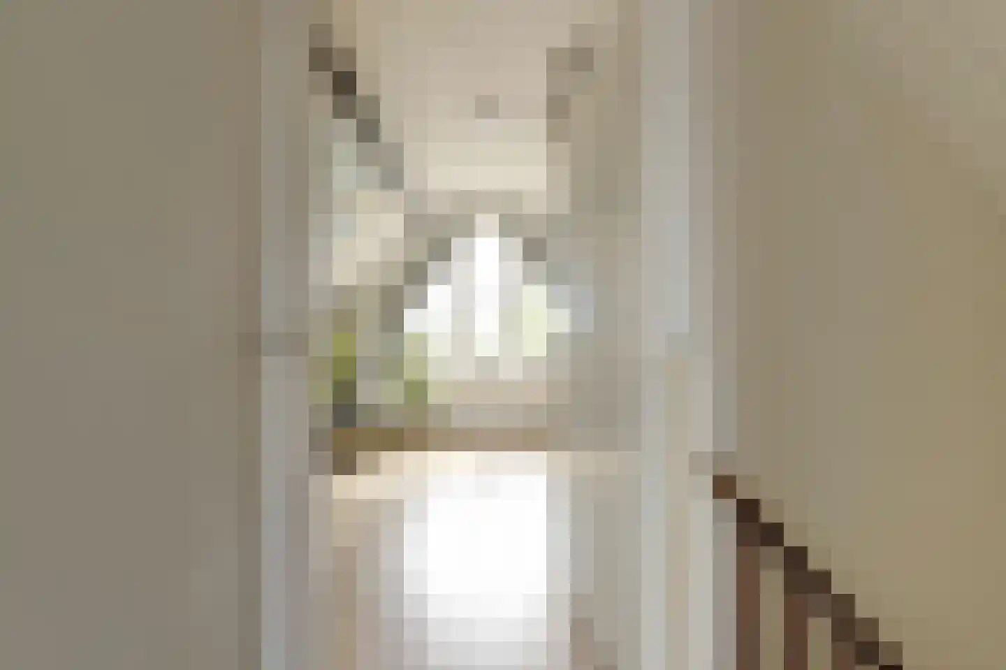 Molenring 5 Waddinxveen thumbnail 26