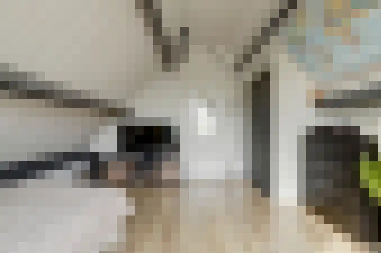Molenring 5 Waddinxveen thumbnail 28