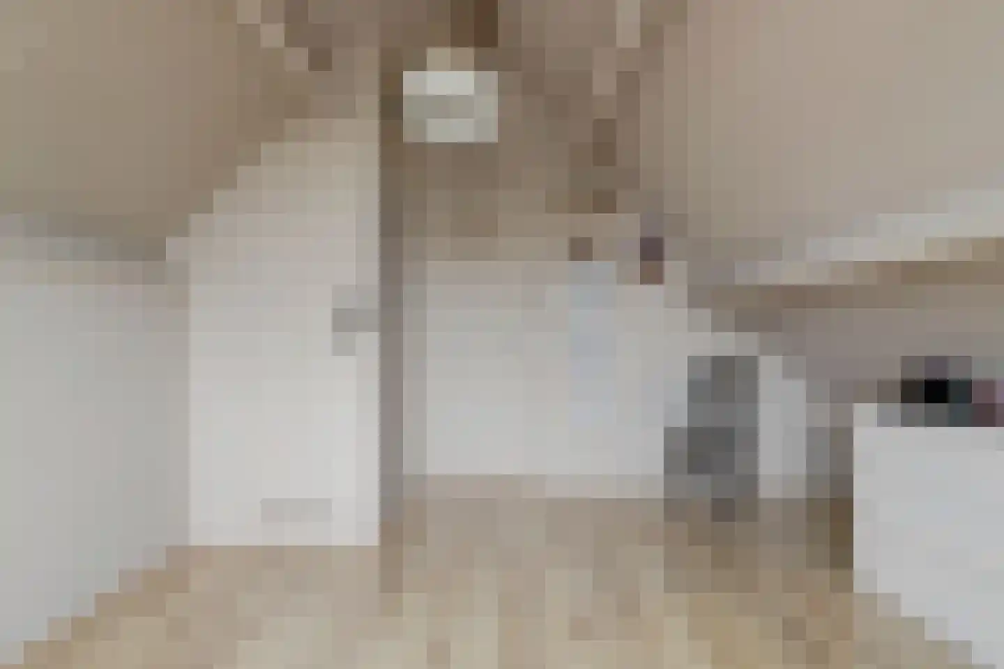 Molenring 5 Waddinxveen thumbnail 30