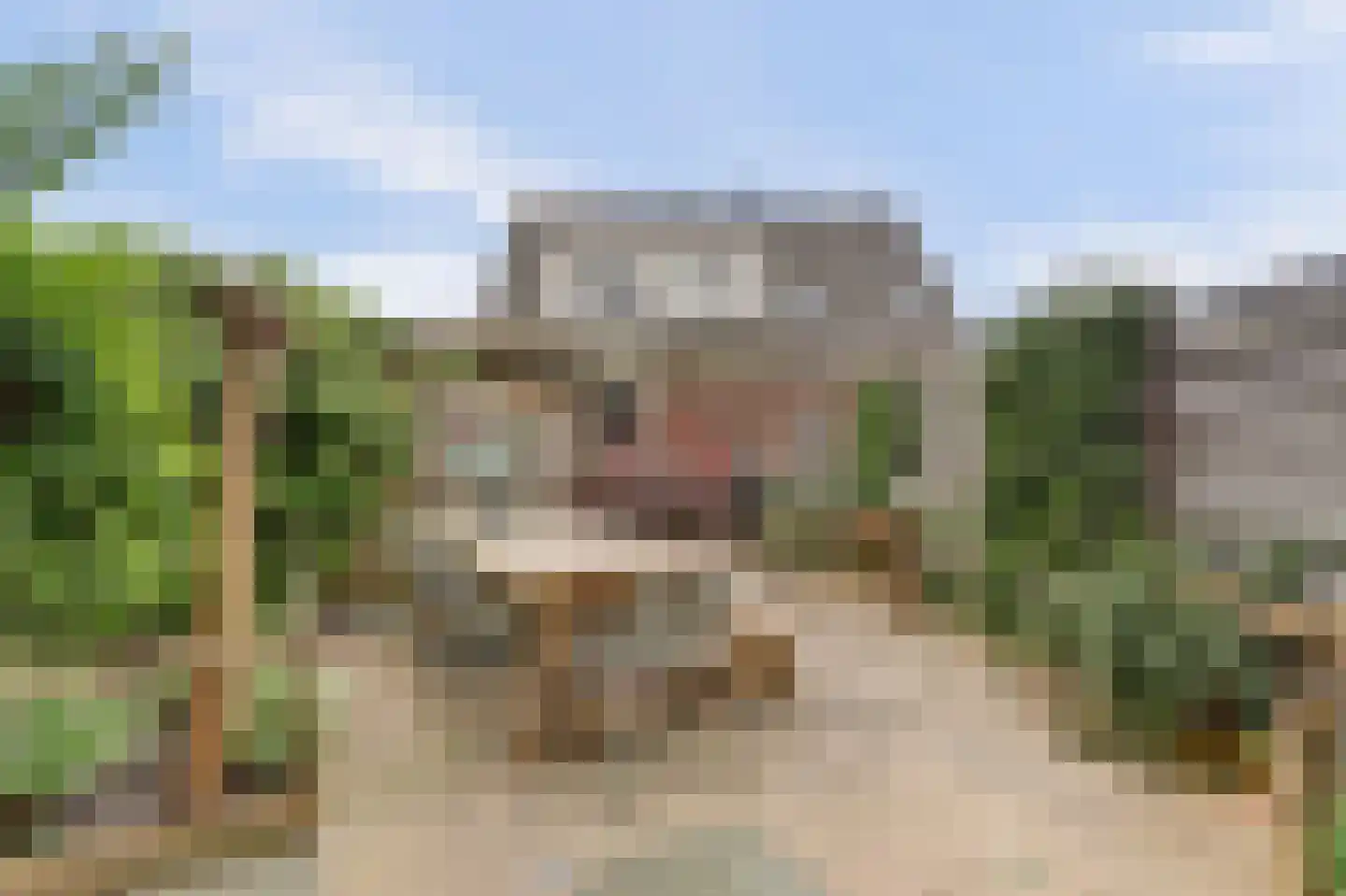 Molenring 5 Waddinxveen thumbnail 31