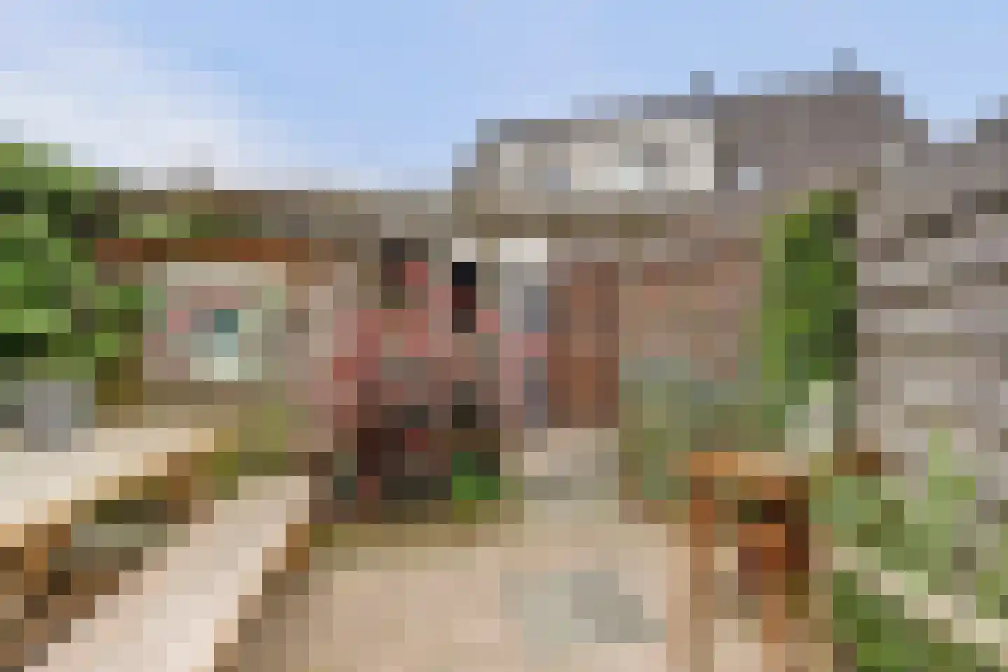 Molenring 5 Waddinxveen thumbnail 32