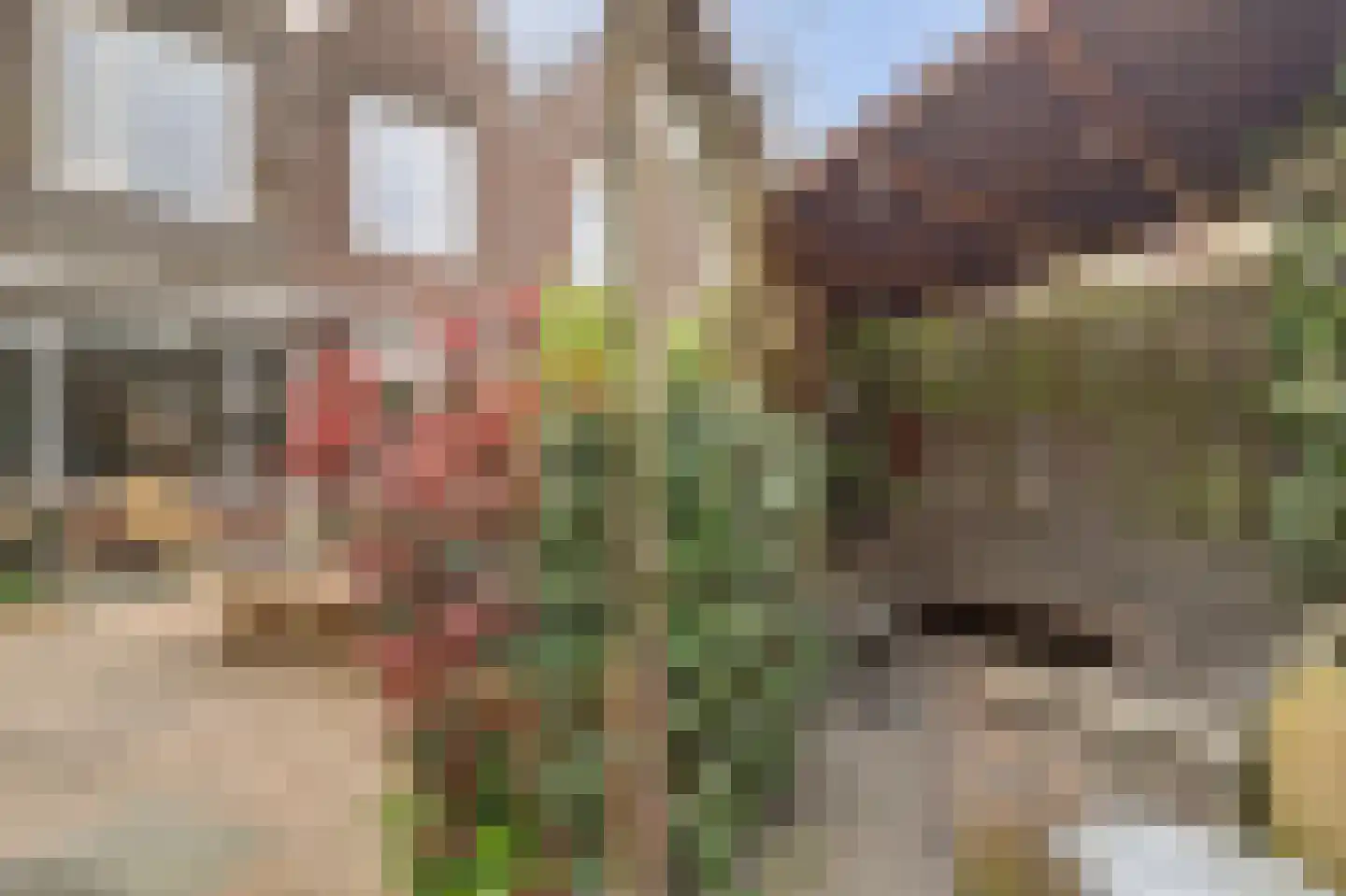 Molenring 5 Waddinxveen thumbnail 33