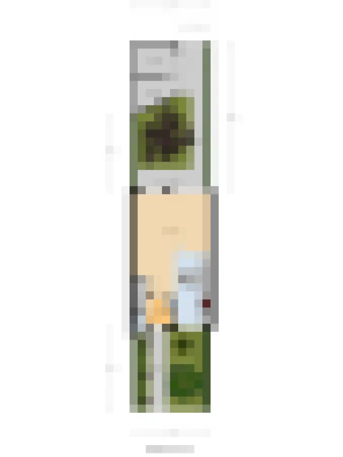 Molenring 5 Waddinxveen thumbnail 43