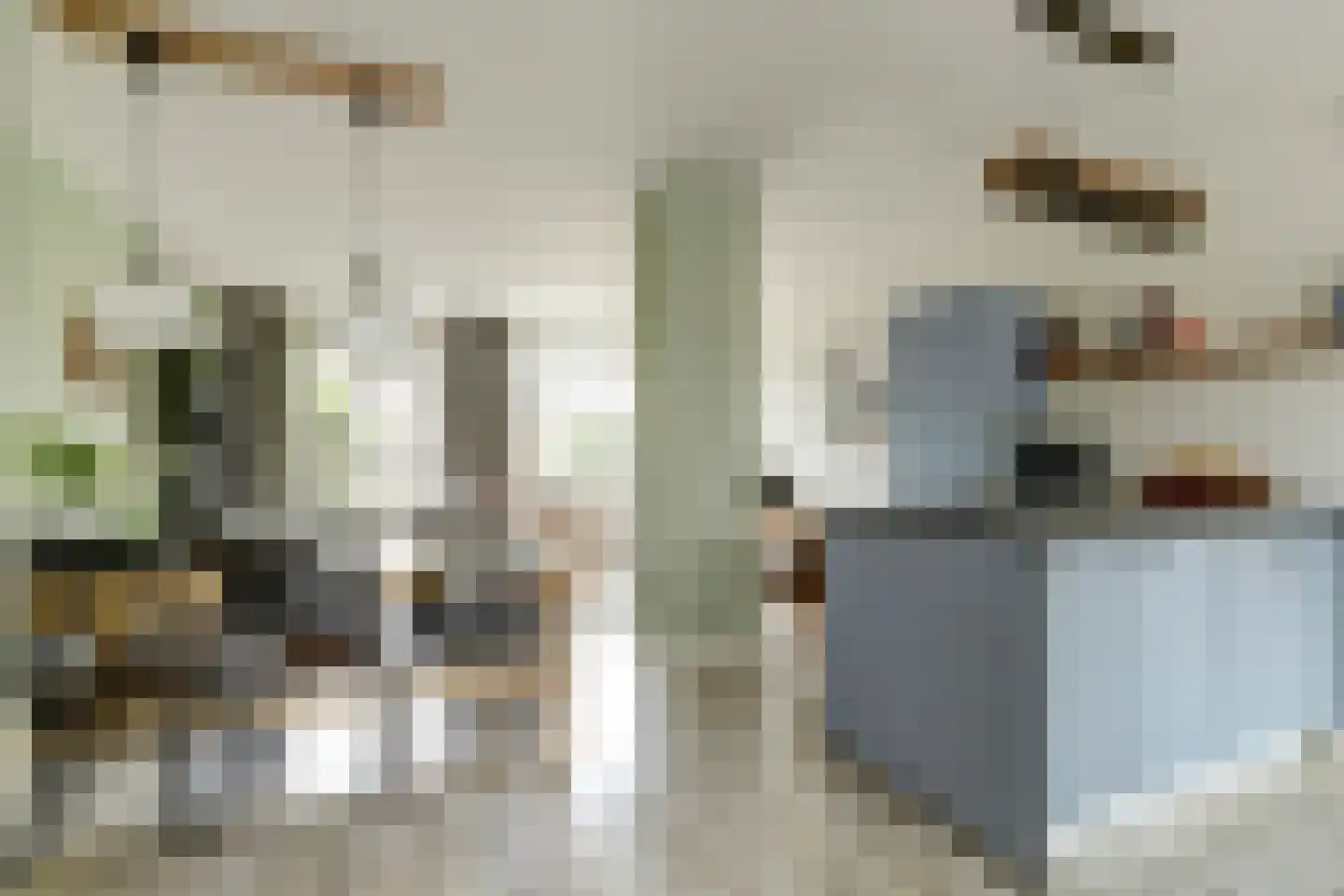 Molenring 5 Waddinxveen thumbnail 7
