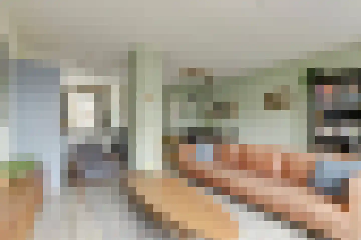 Molenring 5 Waddinxveen thumbnail 9