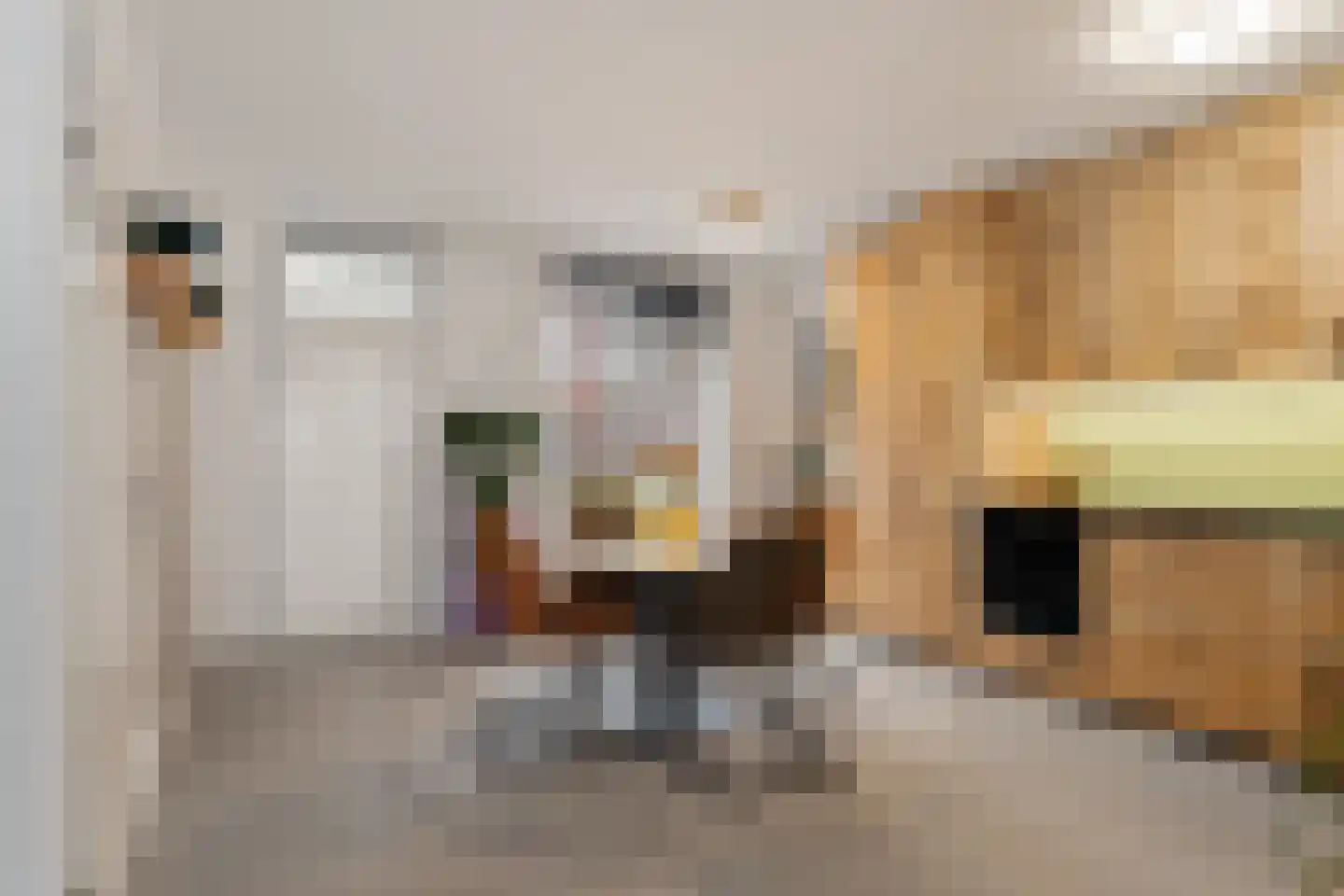 Molenring 55 Waddinxveen thumbnail 13