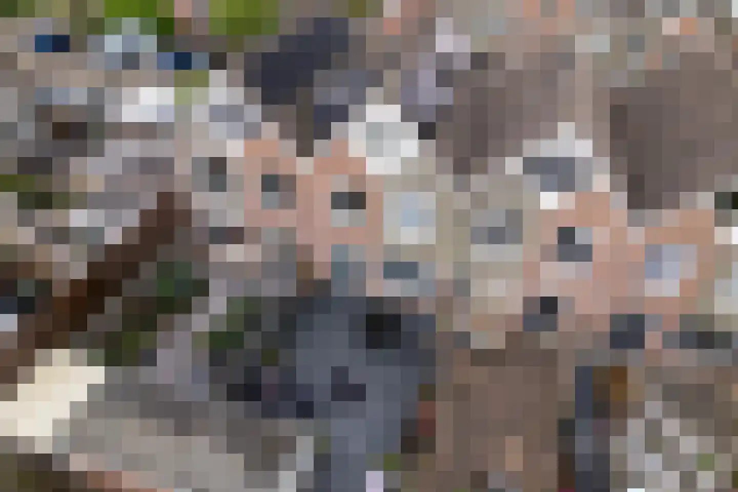 Molenring 55 Waddinxveen thumbnail 29