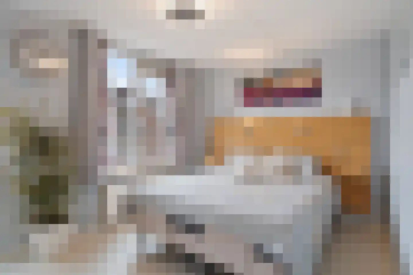 Molenring 55 Waddinxveen thumbnail 34