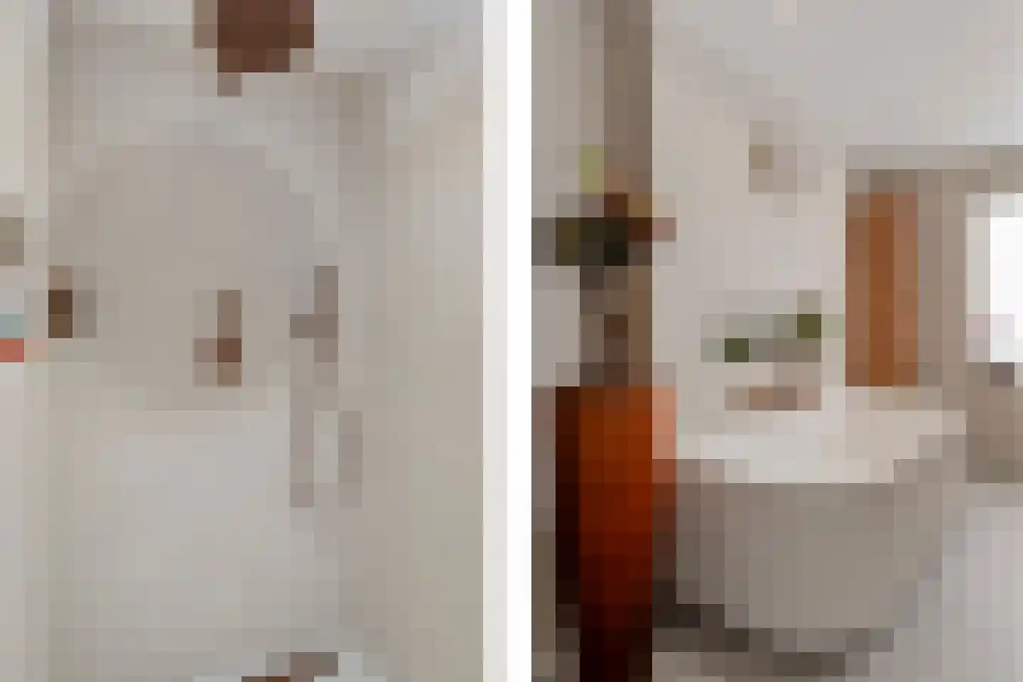 Molenring 55 Waddinxveen thumbnail 40