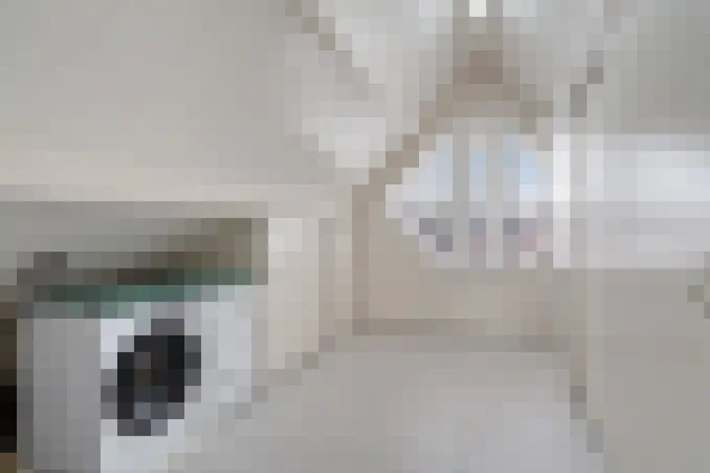 Molenring 55 Waddinxveen thumbnail 44