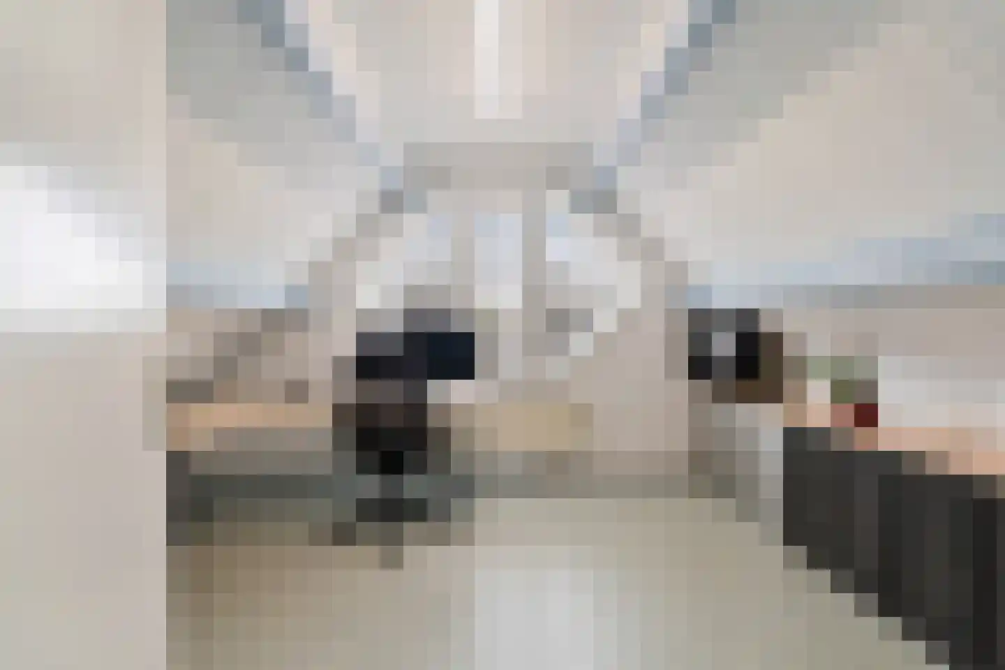 Molenring 55 Waddinxveen thumbnail 47