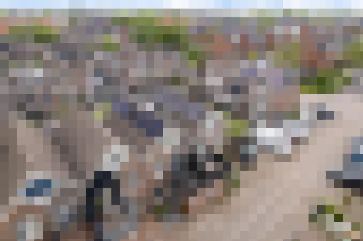 Molenring 55 Waddinxveen thumbnail 51