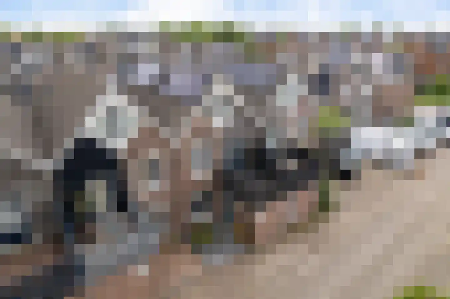 Molenring 55 Waddinxveen thumbnail 52