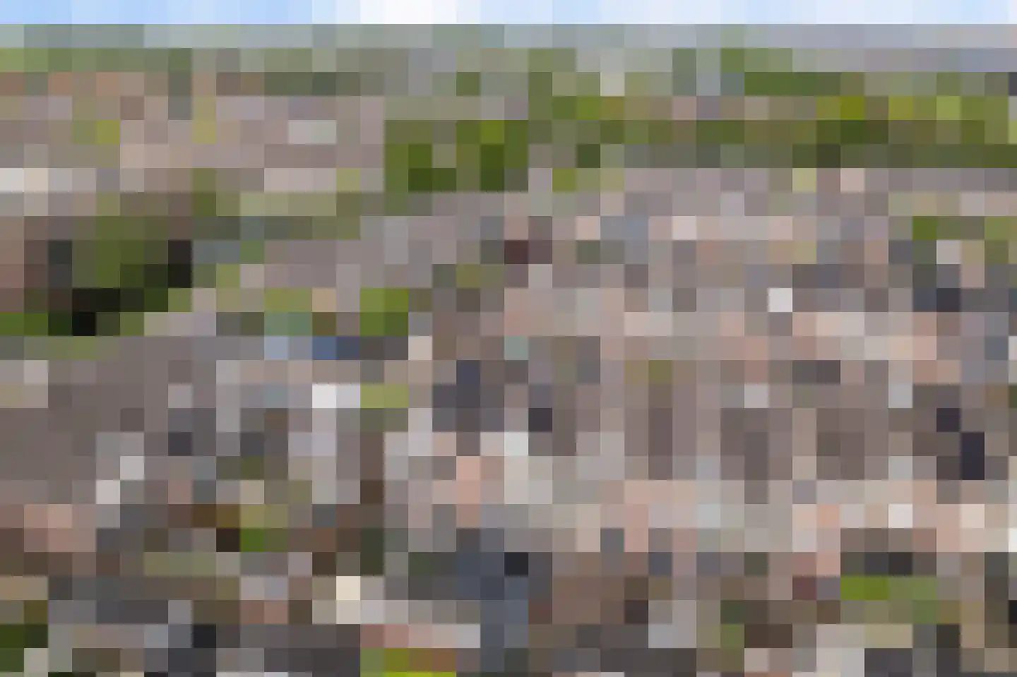 Molenring 55 Waddinxveen thumbnail 54