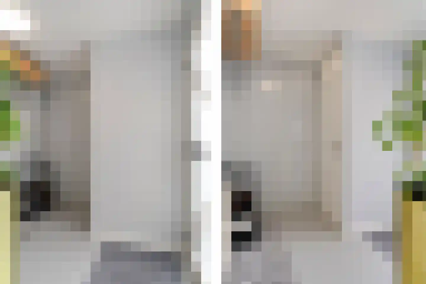 Molenring 55 Waddinxveen thumbnail 7