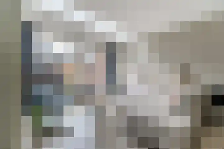 Molenring 99 Waddinxveen thumbnail 10