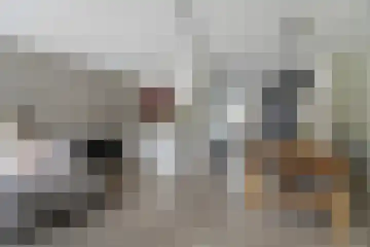 Molenring 99 Waddinxveen thumbnail 11