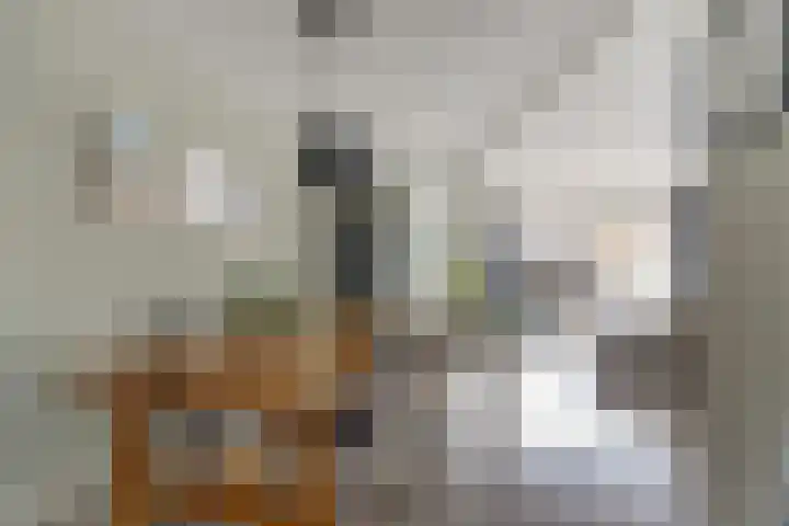 Molenring 99 Waddinxveen thumbnail 13