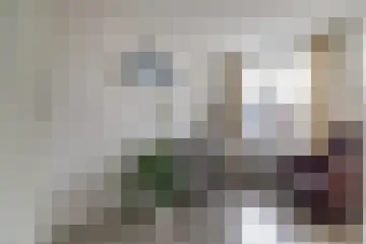 Molenring 99 Waddinxveen thumbnail 20