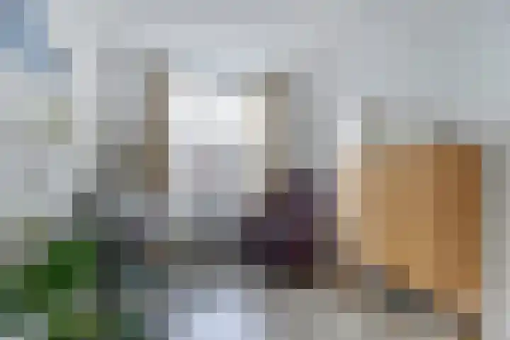 Molenring 99 Waddinxveen thumbnail 21