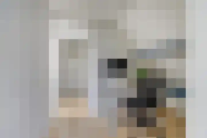 Molenring 99 Waddinxveen thumbnail 27