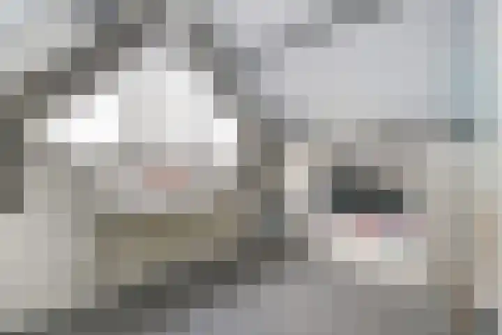 Molenring 99 Waddinxveen thumbnail 28
