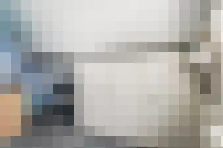Molenring 99 Waddinxveen thumbnail 29