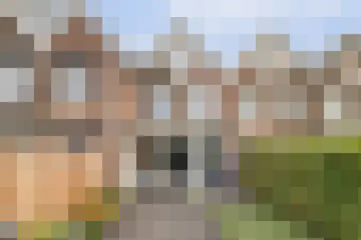 Molenring 99 Waddinxveen thumbnail 34