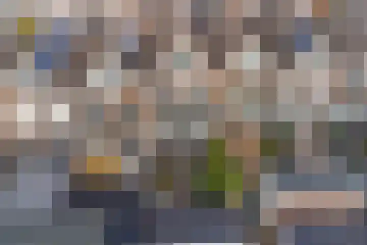 Molenring 99 Waddinxveen thumbnail 39