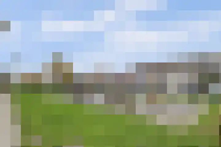 Molenring 99 Waddinxveen thumbnail 41