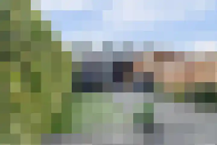Molenring 99 Waddinxveen thumbnail 5