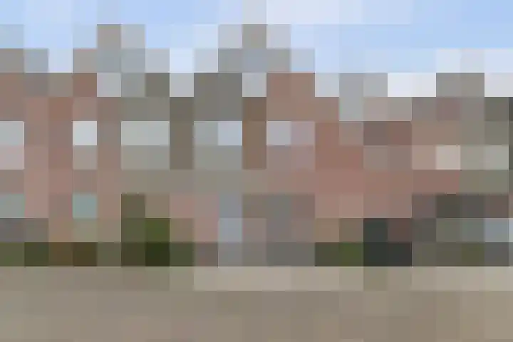 Molenring 99 Waddinxveen thumbnail 6