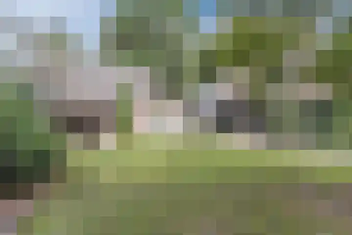 Molenschotsedijk 3 Gilze thumbnail 25